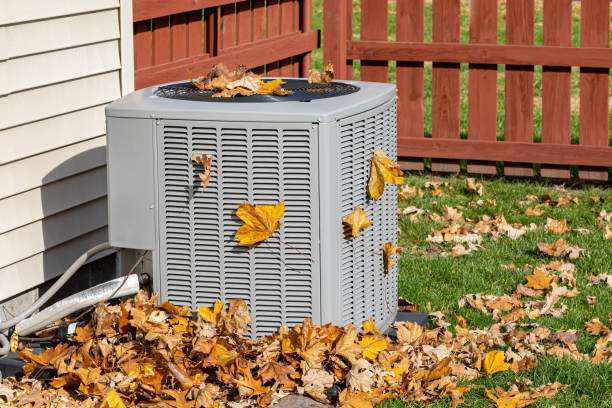 Best HVAC Air Duct Cleaning  in Bellview, FL